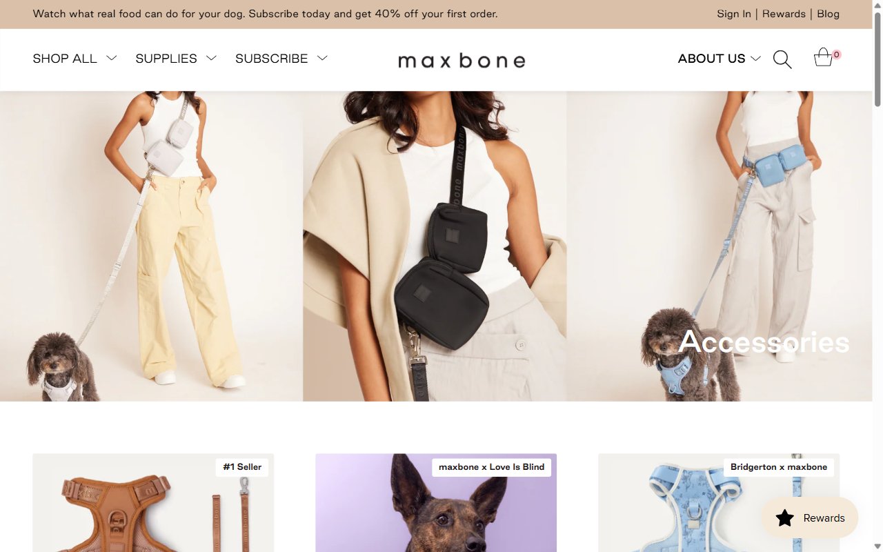 PawStore Pet Accessories